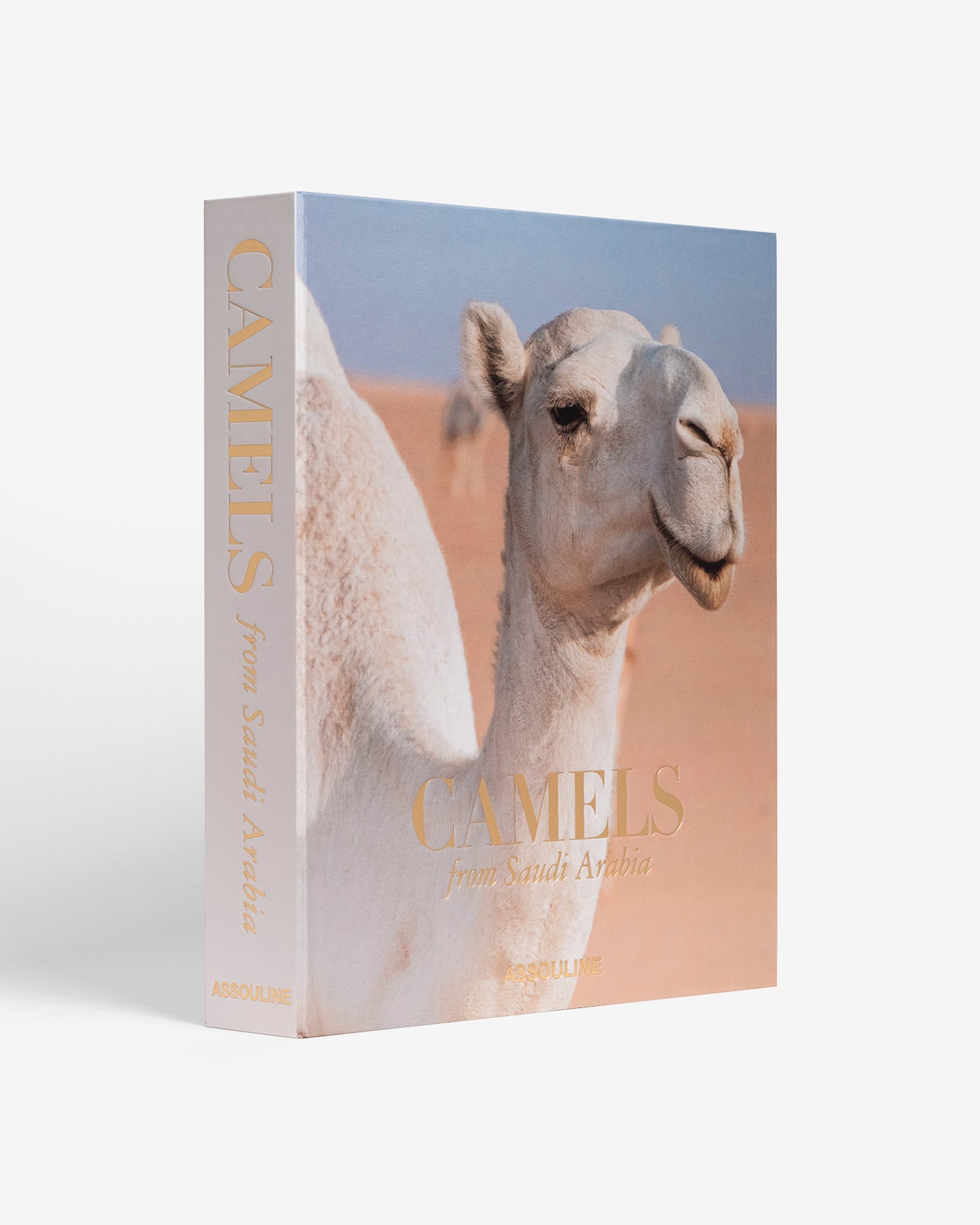 Camels from Saudi Arabia - Coffee Table Book | ASSOULINE FR