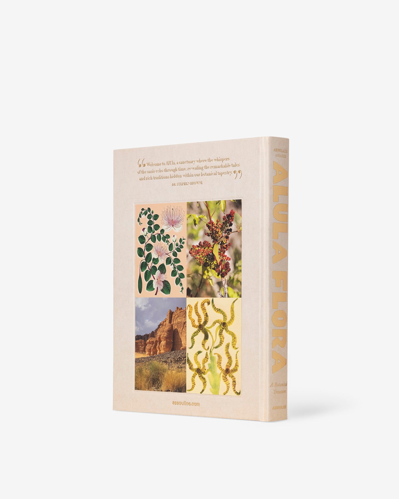 AlUla Flora Coffee Table Book | ASSOULINE FR