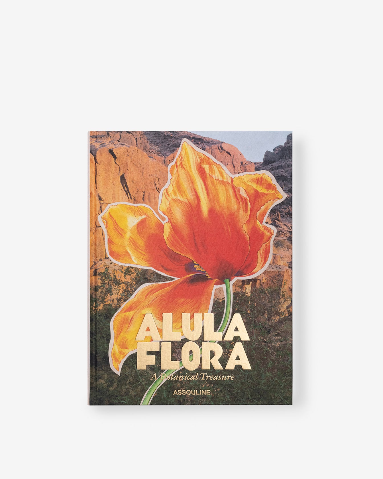 AlUla Flora Coffee Table Book | ASSOULINE FR