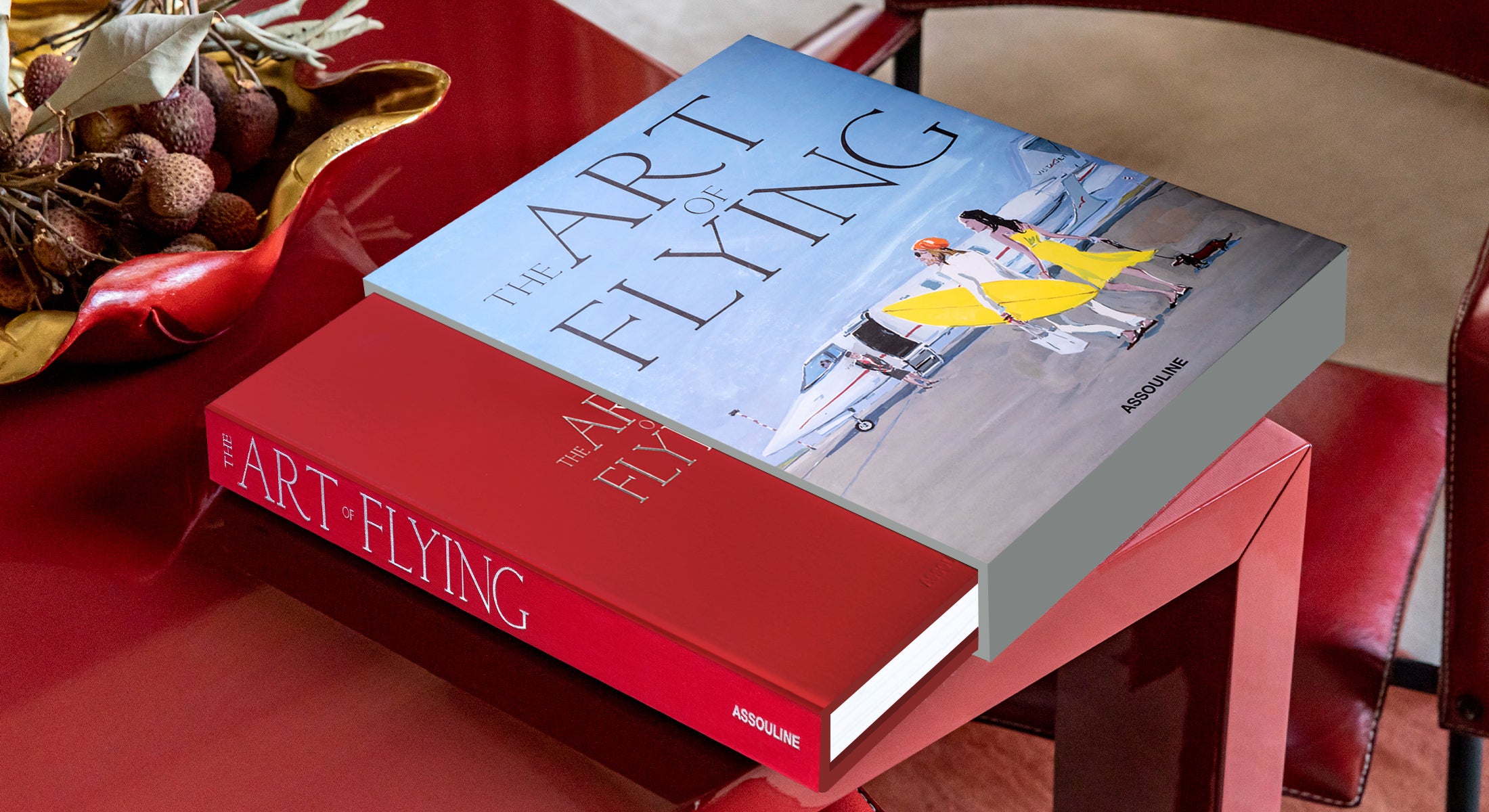 The Art of Flying Coffee Table Book | ASSOULINE FR