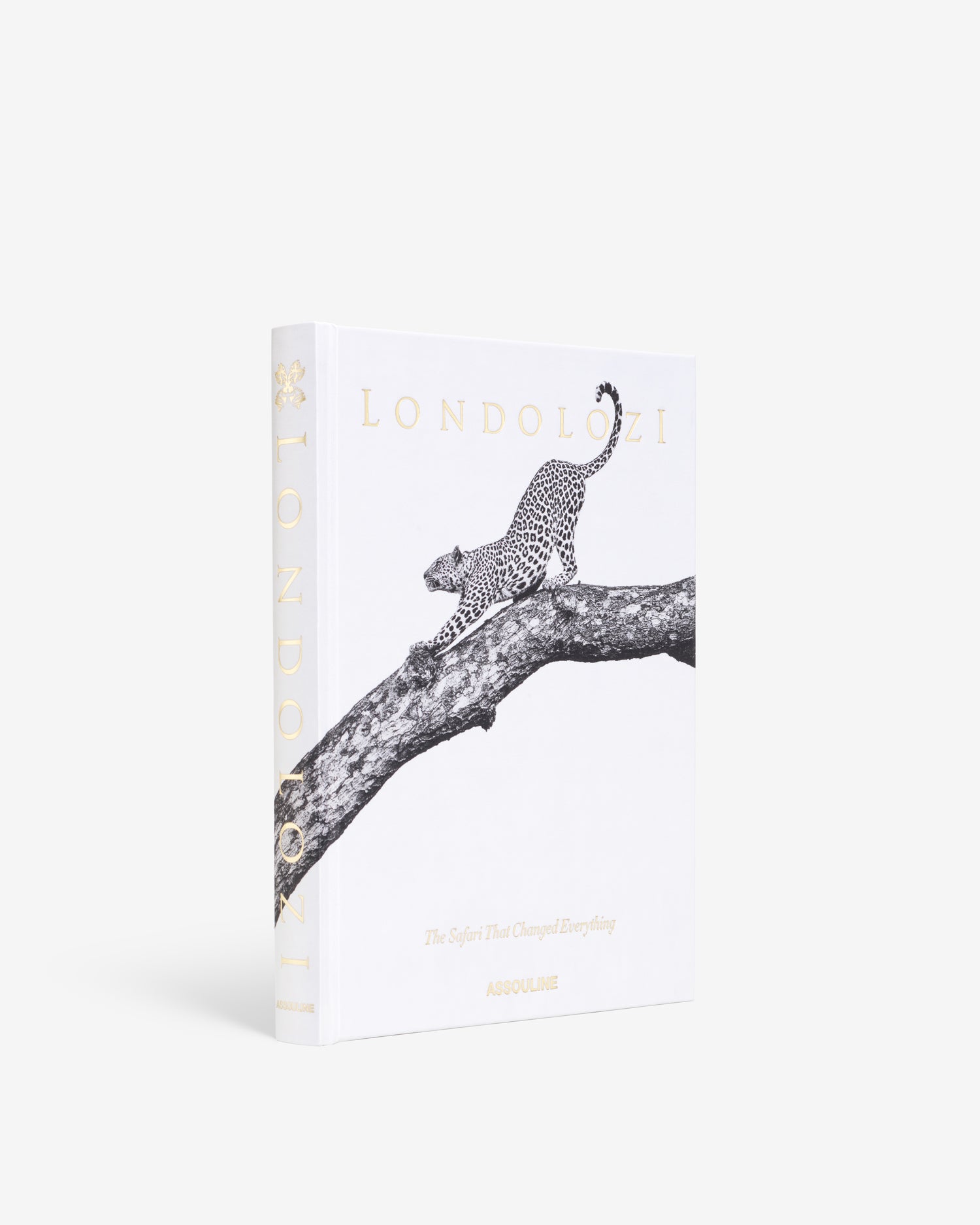 Londolozi Safari Coffee Table Book | ASSOULINE FR