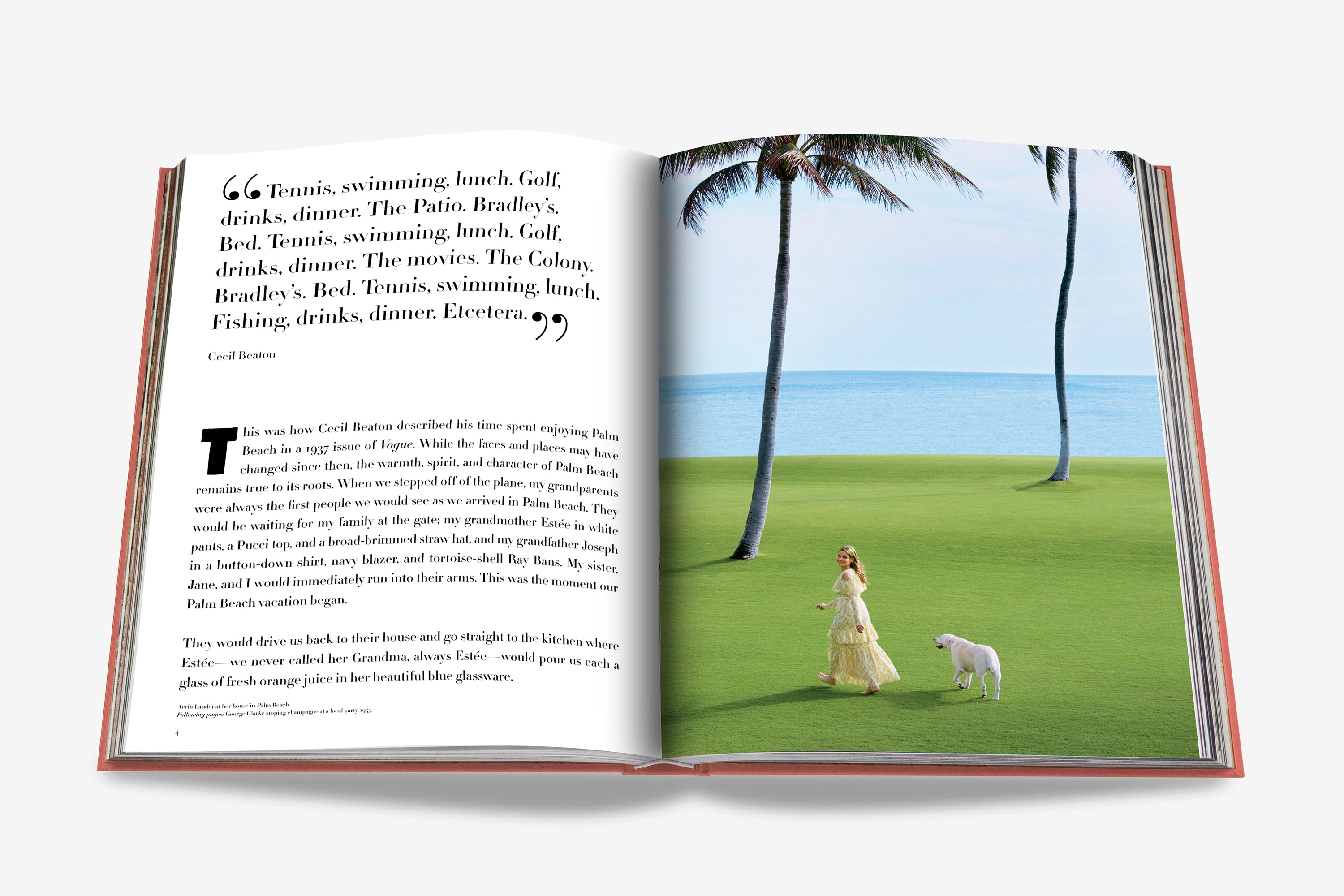 Palm Beach book by Aerin Lauder ASSOULINE