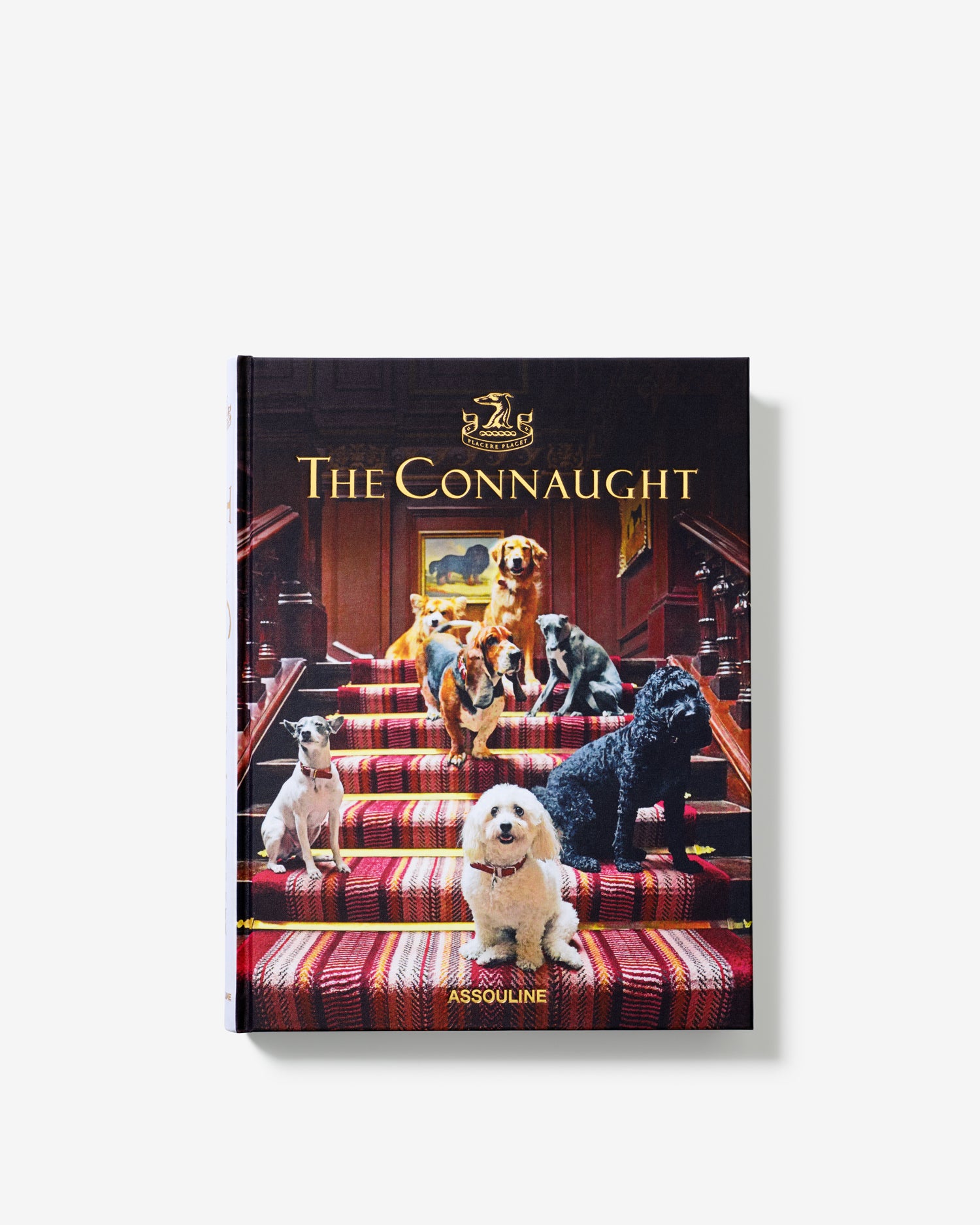 London Coffee Table Books | ASSOULINE FR