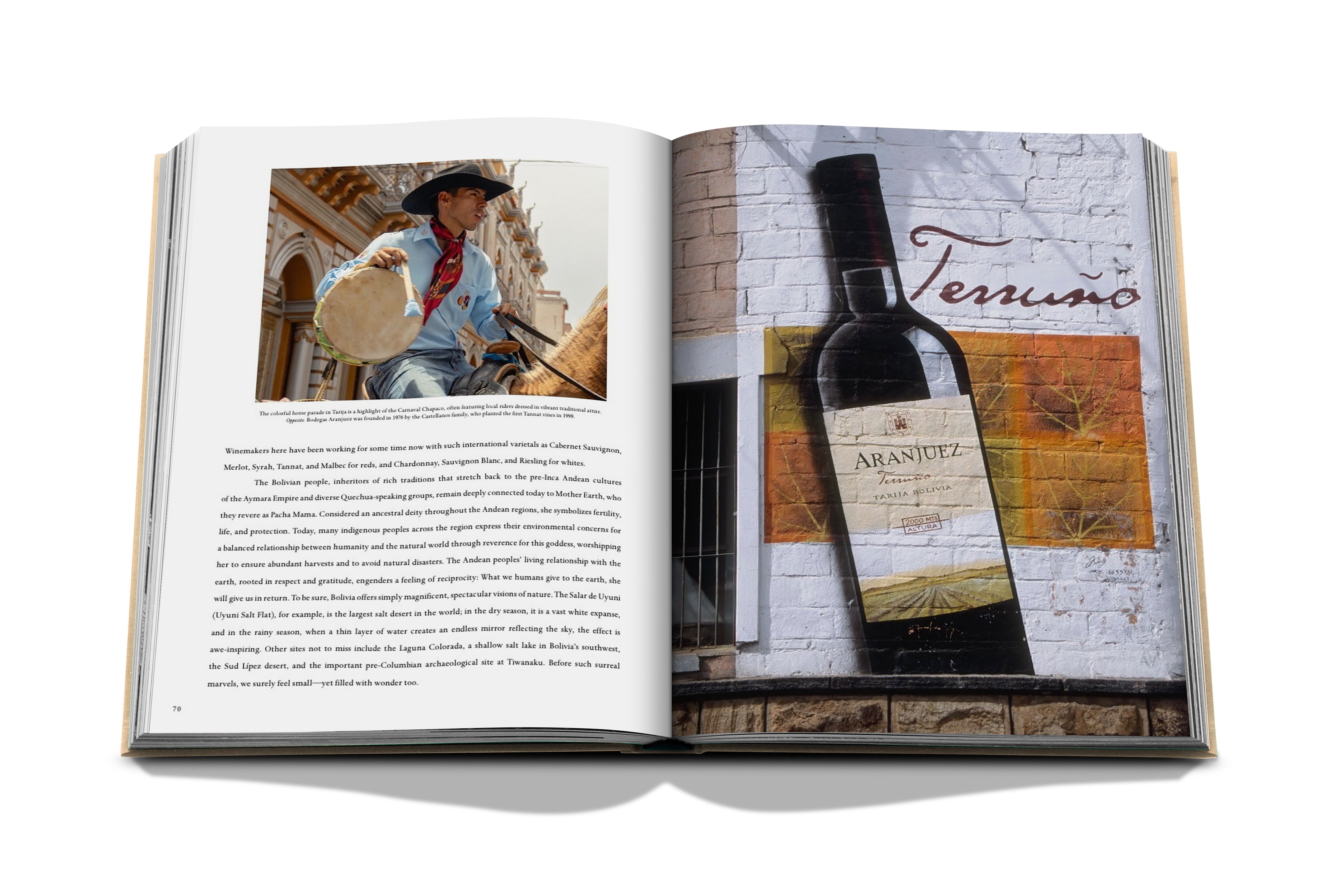 Wine & Travel Latin America Book | ASSOULINE FR