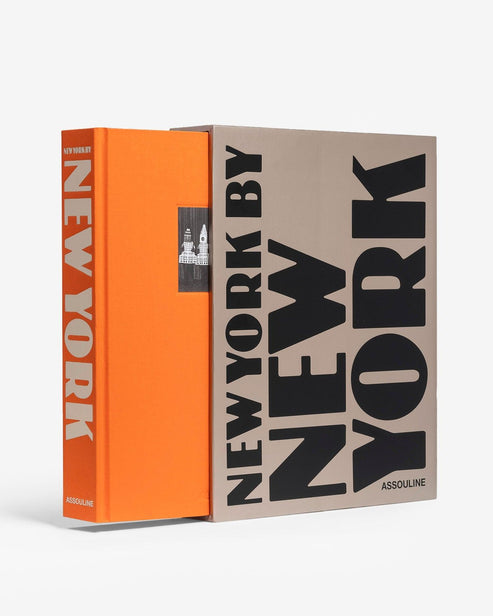 New York by New York book