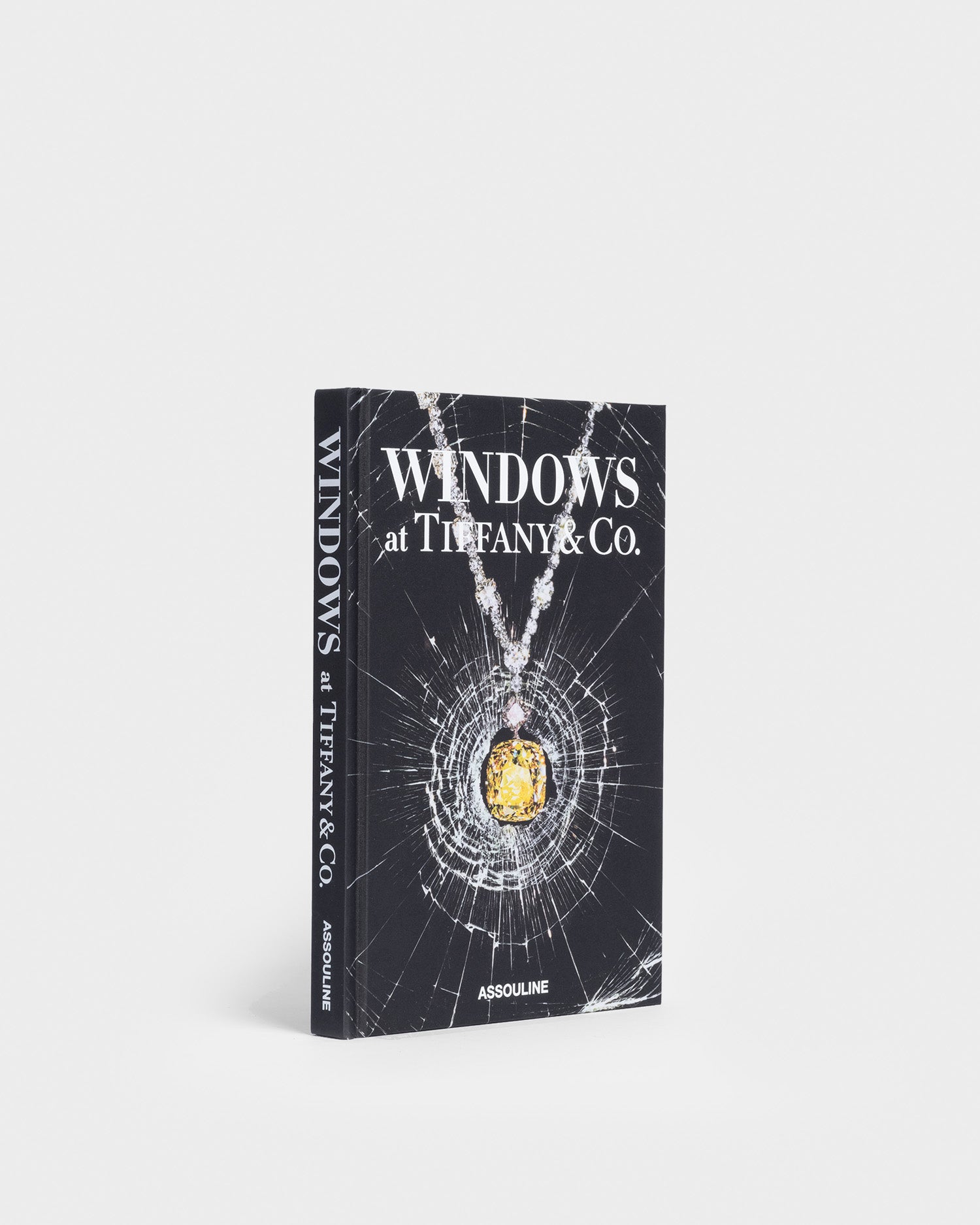 Windows at Tiffany & Co. (Icon Editions) by Christopher Young 